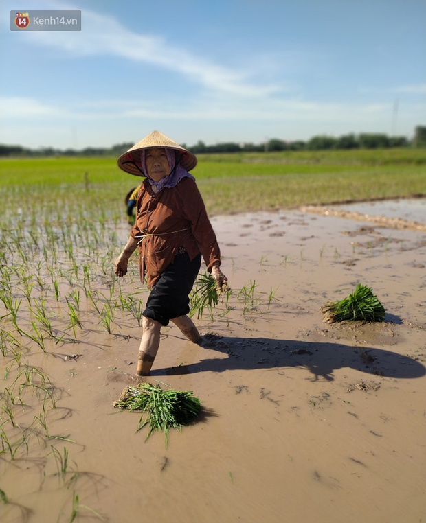 Cụ bà gần 90 tuổi ở Hà Nội hàng ngày đi cấy, đan lưới làm thú vui tao nhã: “Các cháu chưa chắc đã khoẻ bằng tôi” - Ảnh 6. Cụ bà gần 90 tuổi ở Hà Nội hàng ngày đi cấy, đan lưới làm thú vui tao nhã: “Các cháu chưa chắc đã khoẻ bằng tôi” - Ảnh 6.