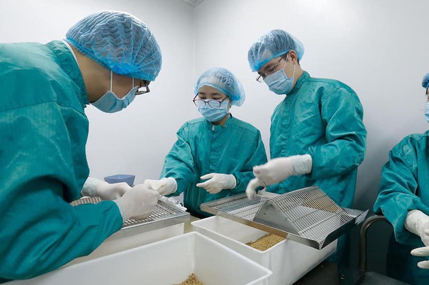 Vắc xin Covid-19 made in Việt Nam sắp thử nghiệm trên người có gì đặc biệt? - Ảnh 2.