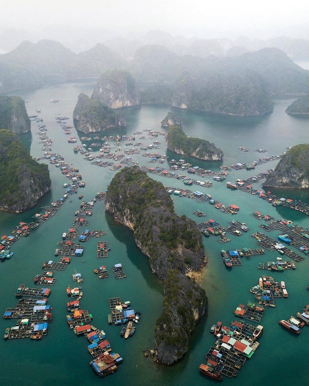 Vịnh Lan Hạ xứng đáng là “ngôi sao du lịch mới nổi” của miền Bắc mùa hè này: Đây là tất cả những gì bạn cần biết trước khi đi - Ảnh 2.