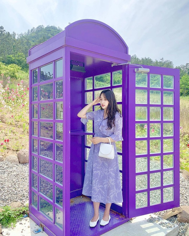 Một hòn đảo kỳ lạ vừa xuất hiện ở Hàn Quốc đã tạo cơn bão check-in trên MXH: Tất cả mọi thứ đều nhuốm màu “tím lịm tìm sim” - Ảnh 31.
