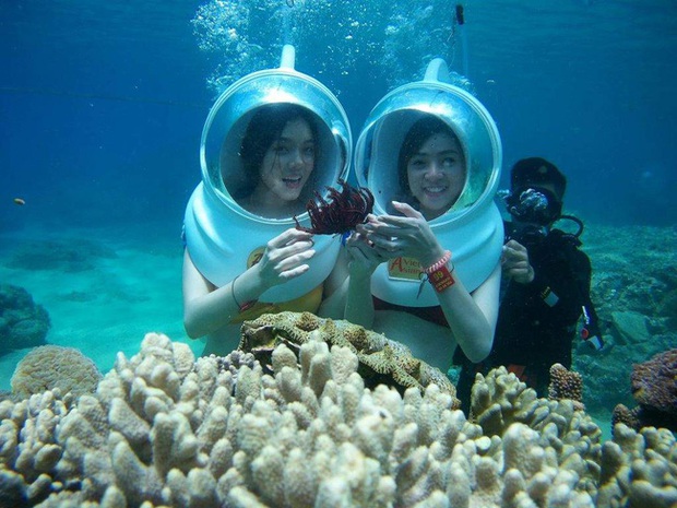 Đến Nha Trang thỏa sức chiêm ngưỡng san hô tuyệt đẹp - ảnh 5