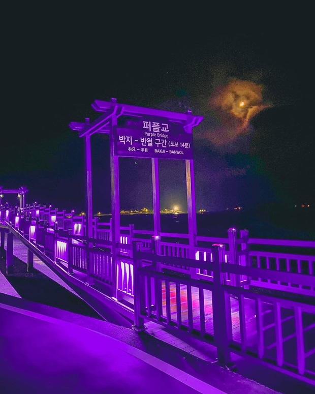 Một hòn đảo kỳ lạ vừa xuất hiện ở Hàn Quốc đã tạo cơn bão check-in trên MXH: Tất cả mọi thứ đều nhuốm màu “tím lịm tìm sim” - Ảnh 18.