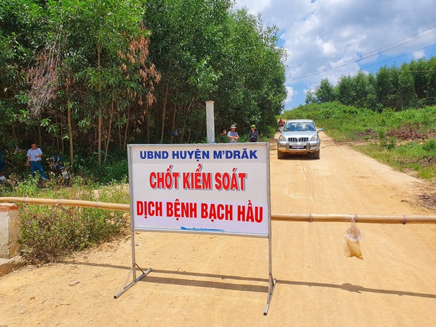 Thêm nhiều trường hợp mắc bạch hầu, Đắk Lắk cách ly hàng ngàn người dân - Ảnh 2. Thêm nhiều trường hợp mắc bạch hầu, Đắk Lắk cách ly hàng ngàn người dân - Ảnh 2.