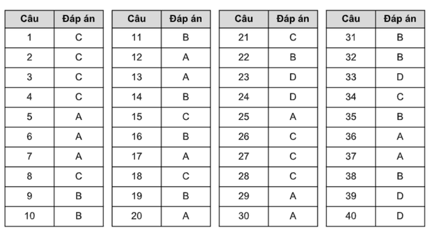 Đáp án đề thi tuyển sinh vào lớp 10 môn tiếng Anh 2020 Hà Nội - Ảnh 5.