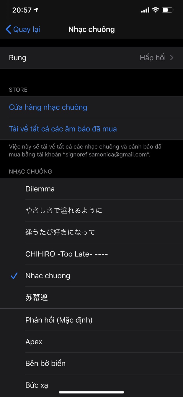 Bật mí mẹo đơn giản để thay nhạc chuông iPhone mà không cần dùng iTunes - Ảnh 5.