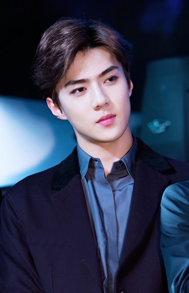 Nam thần Sehun (EXO) chính thức trở thành cổ đông công ty thể thao điện tử nổi tiếng nhất Hàn Quốc, được CEO ưu ái - Ảnh 2.