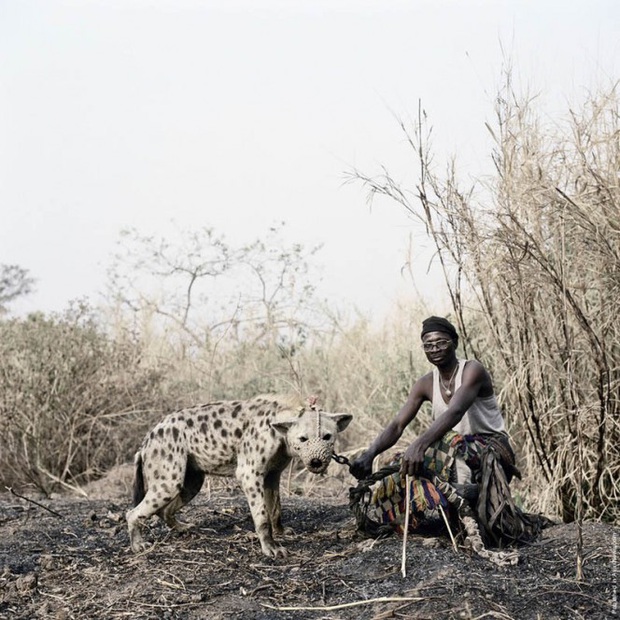 Bức ảnh bị hiểu nhầm hé lộ sự thật về những người huấn luyện linh cẩu để kiếm sống tại Nigeria - Ảnh 2.
