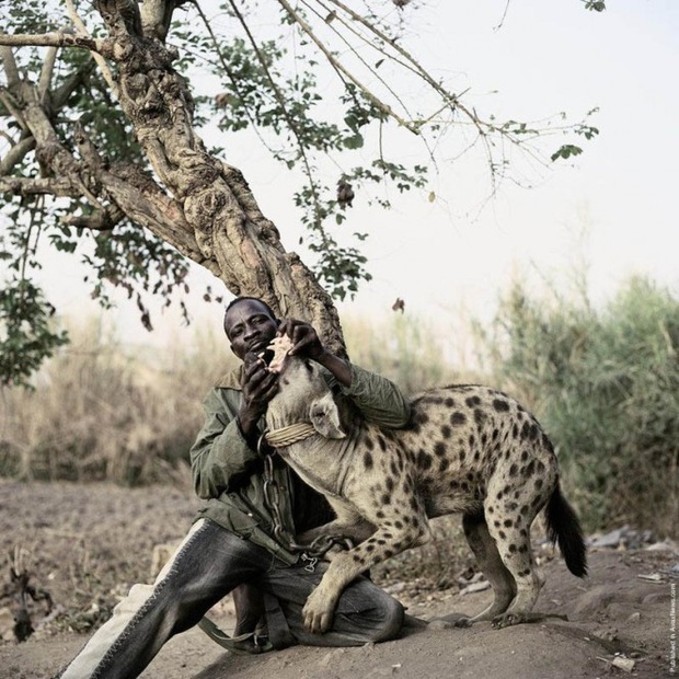 Bức ảnh bị hiểu nhầm hé lộ sự thật về những người huấn luyện linh cẩu để kiếm sống tại Nigeria - Ảnh 4.
