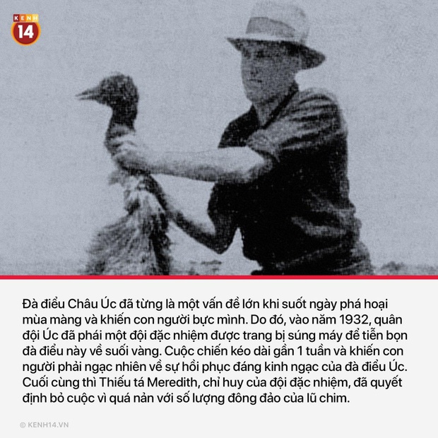 15 trận chiến có diễn biến đi thẳng xuống lòng đất đã từng diễn ra trong lịch sử nhân loại - Ảnh 6.