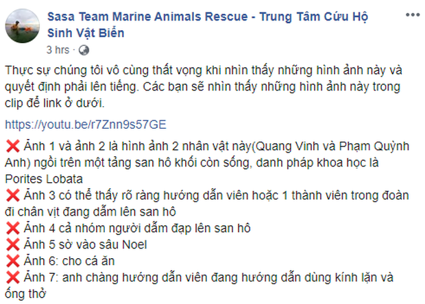 Động thái mới nhất của Quang Vinh và Phạm Quỳnh Anh giữa lúc bị chỉ trích vì hành động phá hoại tài nguyên biển - Ảnh 3.