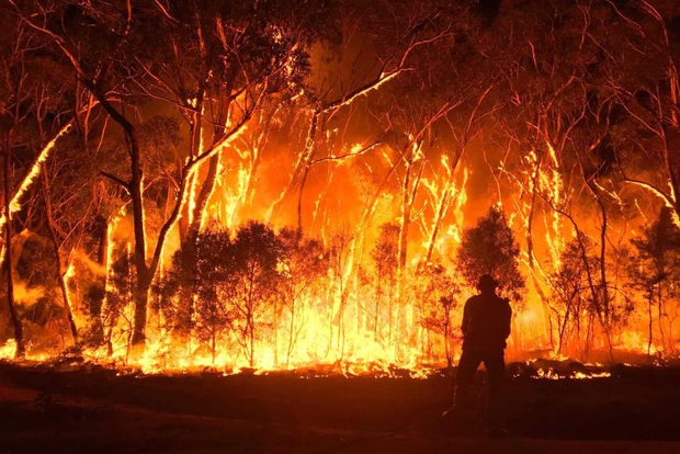 Năm 2020 hoang tàn của người Úc: Chưa kể đại dịch, trận cháy rừng đại thảm họa hồi đầu năm đã khiến gần 3 TỈ sinh vật khốn khổ - Ảnh 2.