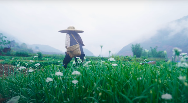 Ngay tại Trung Quốc đã có loạt vlogger phong cách na ná Lý Tử Thất, có người còn gần như “copy” nguyên si - Ảnh 5.