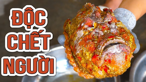 Nhiều người sẵn sàng bỏ ra cả chục triệu để được ăn cá mặt quỷ dù có nọc độc và có vẻ ngoài thách thức người nhìn - Ảnh 2. Nhiều người sẵn sàng bỏ ra cả chục triệu để được ăn cá mặt quỷ dù có nọc độc và có vẻ ngoài thách thức người nhìn - Ảnh 2.