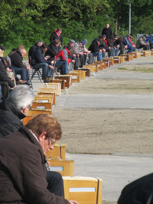 vinkensportdeinze02-1596275110443198482070.jpg
