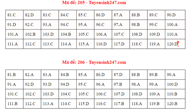 Đáp án đề thi tốt nghiệp THPT Quốc gia 2020 môn Sinh - Ảnh 4.