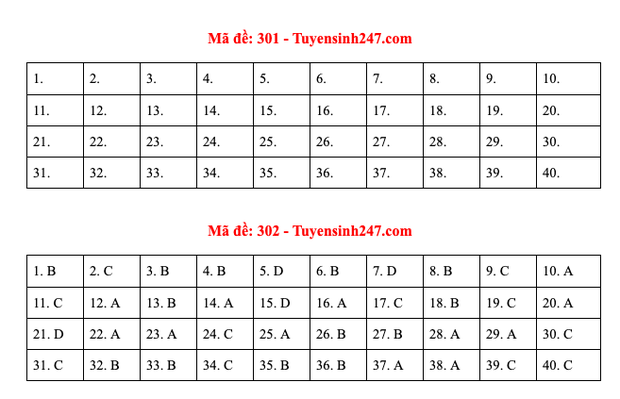 Đáp án đề thi môn Lịch sử tốt nghiệp THPT Quốc gia 2020 (24 mã đề) - Ảnh 1.