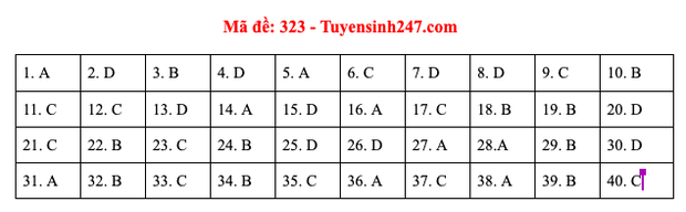 Đáp án đề thi môn Lịch sử tốt nghiệp THPT Quốc gia 2020 (24 mã đề) - Ảnh 8.