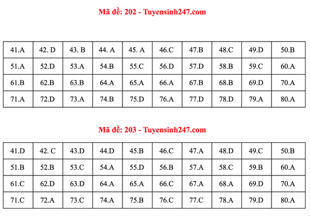 Đáp án đề thi môn Hóa tốt nghiệp THPT Quốc gia 2020 (24 mã đề) - Ảnh 2.