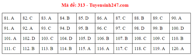 Đáp án đề thi tốt nghiệp THPT 2020 môn GDCD (24 mã đề) - Ảnh 12.