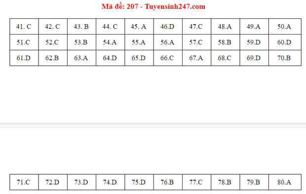 Đáp án đề thi môn Hóa tốt nghiệp THPT Quốc gia 2020 (24 mã đề) - Ảnh 4.