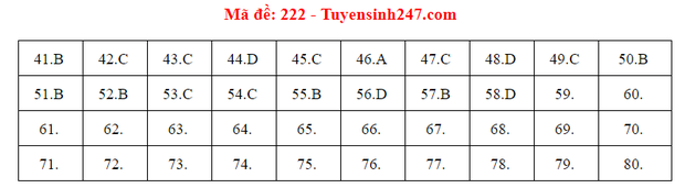 Đáp án đề thi môn Hóa tốt nghiệp THPT Quốc gia 2020 (24 mã đề) - Ảnh 10.