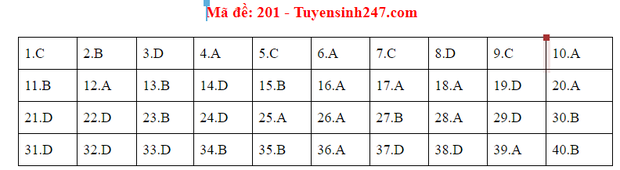 Đáp án đề thi tốt nghiệp THPT Quốc gia 2020 môn Vật lý (24 mã đề) - Ảnh 1.