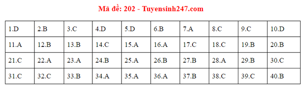 Đáp án đề thi tốt nghiệp THPT Quốc gia 2020 môn Vật lý (24 mã đề) - Ảnh 2.