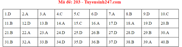 Đáp án đề thi tốt nghiệp THPT Quốc gia 2020 môn Vật lý (24 mã đề) - Ảnh 3.