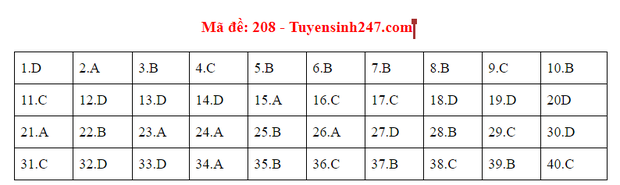 Đáp án đề thi tốt nghiệp THPT Quốc gia 2020 môn Vật lý (24 mã đề) - Ảnh 6.