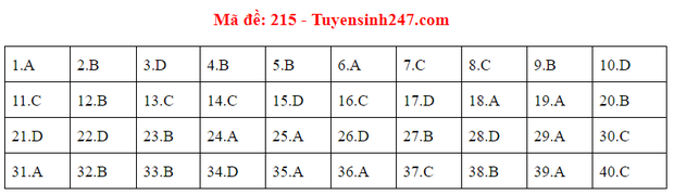 Đáp án đề thi tốt nghiệp THPT Quốc gia 2020 môn Vật lý (24 mã đề) - Ảnh 10.