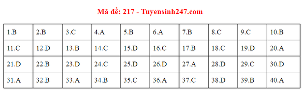 Đáp án đề thi tốt nghiệp THPT Quốc gia 2020 môn Vật lý (24 mã đề) - Ảnh 12.