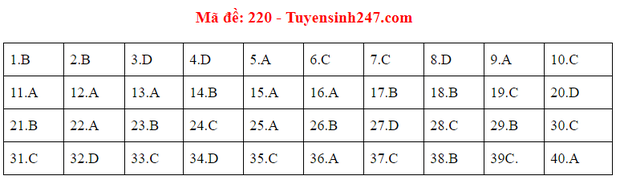 Đáp án đề thi tốt nghiệp THPT Quốc gia 2020 môn Vật lý (24 mã đề) - Ảnh 14.