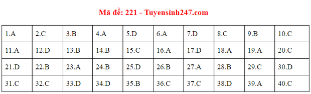 Đáp án đề thi tốt nghiệp THPT Quốc gia 2020 môn Vật lý (24 mã đề) - Ảnh 15.