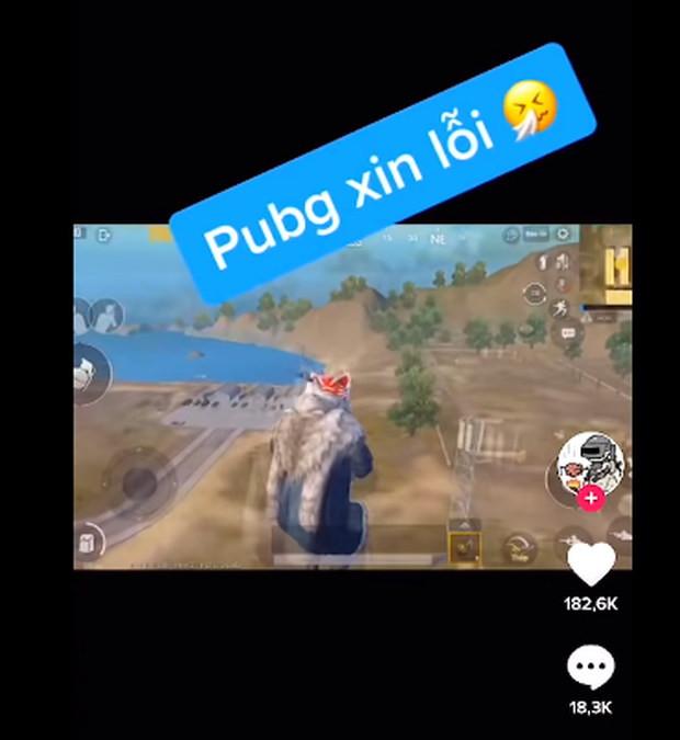 Youtuber PUBG Mobile nổi tiếng xóa TikTok sau khi xem màn gây war thô thiển của fan Lửa Chùa - Ảnh 6.