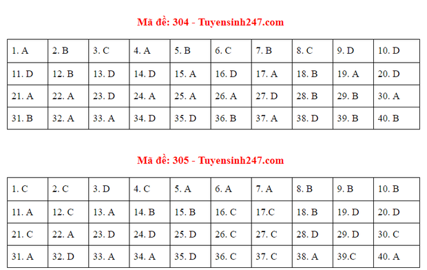 Đáp án đề thi môn Lịch sử tốt nghiệp THPT Quốc gia 2020 (24 mã đề) - Ảnh 3.