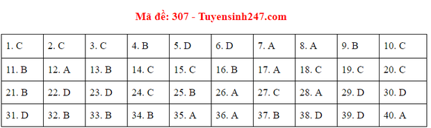 Đáp án đề thi môn Lịch sử tốt nghiệp THPT Quốc gia 2020 (24 mã đề) - Ảnh 4.