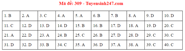 Đáp án đề thi môn Lịch sử tốt nghiệp THPT Quốc gia 2020 (24 mã đề) - Ảnh 4.