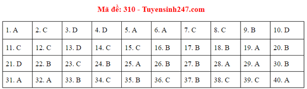 Đáp án đề thi môn Lịch sử tốt nghiệp THPT Quốc gia 2020 (24 mã đề) - Ảnh 7.