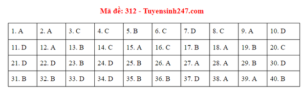 Đáp án đề thi môn Lịch sử tốt nghiệp THPT Quốc gia 2020 (24 mã đề) - Ảnh 6.