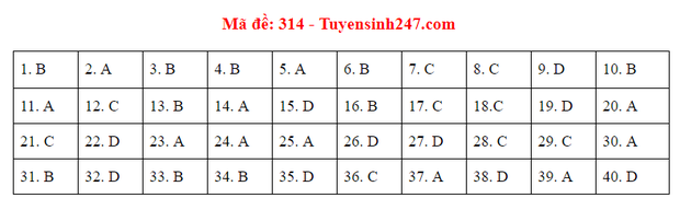 Đáp án đề thi môn Lịch sử tốt nghiệp THPT Quốc gia 2020 (24 mã đề) - Ảnh 7.