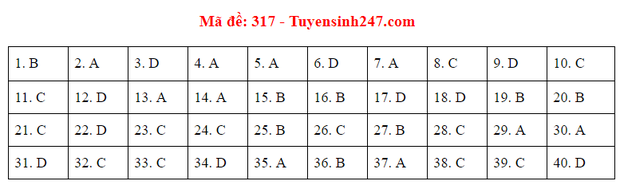 Đáp án đề thi môn Lịch sử tốt nghiệp THPT Quốc gia 2020 (24 mã đề) - Ảnh 12.