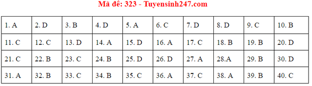 Đáp án đề thi môn Lịch sử tốt nghiệp THPT Quốc gia 2020 (24 mã đề) - Ảnh 17.