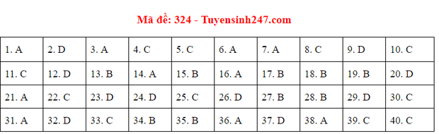 Đáp án đề thi môn Lịch sử tốt nghiệp THPT Quốc gia 2020 (24 mã đề) - Ảnh 18.