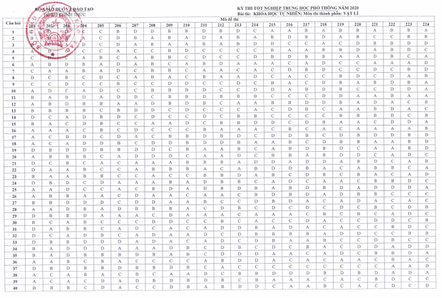 Đáp án chính thức thi tốt nghiệp THPT 2020 của Bộ GD&ĐT tất cả các môn - Ảnh 8.