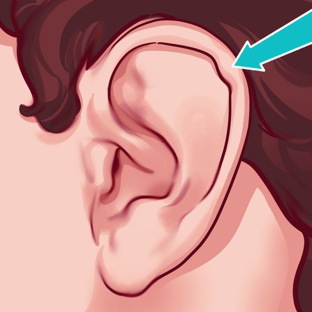 9 bộ phận vô dụng đến thảm thương trên cơ thể chúng ta, nhưng lại là bảo chứng sinh tồn của quá trình tiến hóa - Ảnh 6. 9 bộ phận vô dụng đến thảm thương trên cơ thể chúng ta, nhưng lại là bảo chứng sinh tồn của quá trình tiến hóa - Ảnh 6.