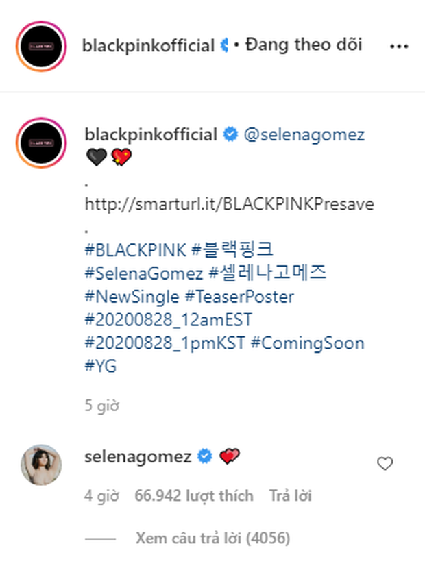 Thánh soi đào lại cơ duyên đầu tiên của BLACKPINK - Selena Gomez ở sự kiện quốc tế, màn đọ sắc còn gây bão MXH - Ảnh 7.