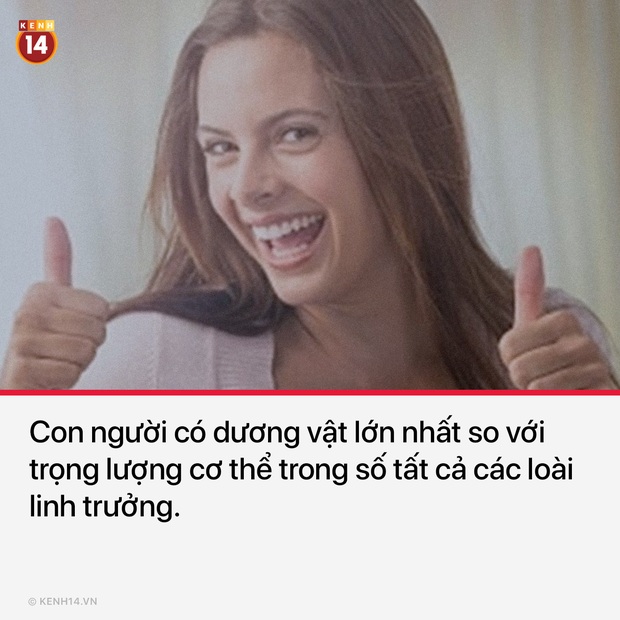 12 sự thật thú vị đóng mác 18+ về cơ thể các loài vật - Ảnh 12.