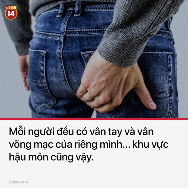 12 sự thật thú vị đóng mác 18+ về cơ thể các loài vật - Ảnh 9.