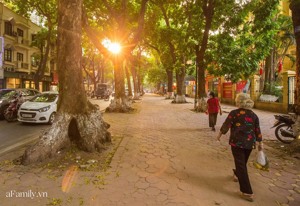 Nhón bước sang thu được vài ngày nhưng sao Hà Nội lại thay đổi nhanh đến thế, có sấu chín, cốm thơm, không khí tươi mát giúp ta biết sống chậm - Ảnh 3.