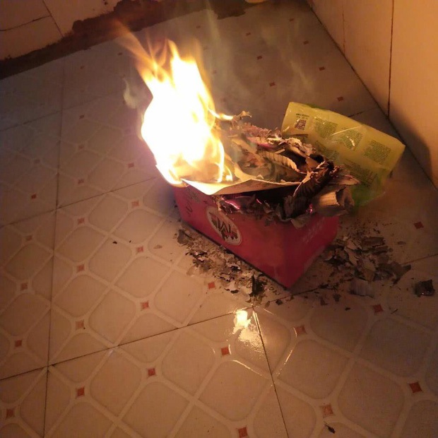 Ám ảnh khung cảnh bẩn thỉu bên trong ký túc xá sau mùa dịch: Chuột làm thành tổ, cây mọc dài hàng mét - Ảnh 8.